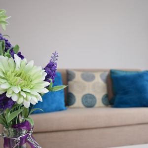 Living Room Lifestyle- After