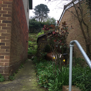 Garden - Before